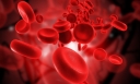 Bệnh thiếu máu thiếu sắt: Nguyên nhân, triệu chứng và điều trị
