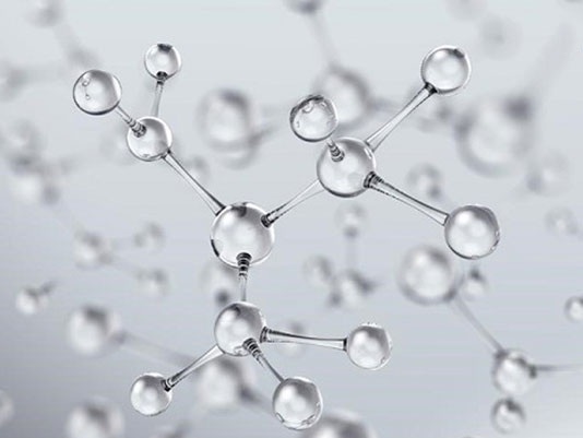 Collagen Type 2